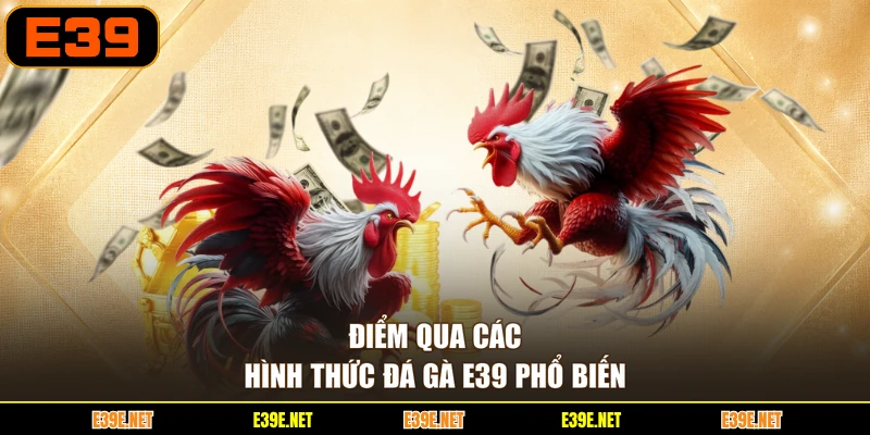 Điểm qua các hình thức đá gà E39 phổ biến