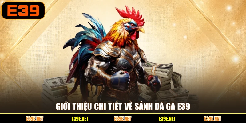 Giới thiệu chi tiết về sảnh đá gà E39